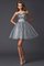 Abito Homecoming Naturale Corto in Organza Principessa A-Line