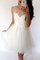 Abito Homecoming Senza Maniche Tondo A-Line in Tulle Mini