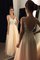 Abito laurea in tulle naturale a terra a-line in previsione del futuro v-scollo