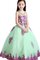 Abito da Cerimonia Bambini Naturale Ball Gown con Cristino A Terra con Applique