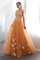 Abito da ballo in tulle con applique carina in raso sensuale naturale