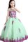 Abito da Cerimonia Bambini Naturale Ball Gown con Cristino A Terra con Applique