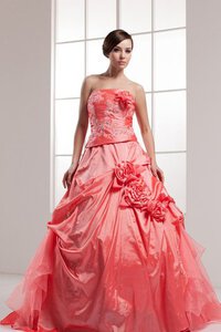 Abito Quinceanera Ball Gown Senza Maniche con Fiore con Stropicciato con Applique