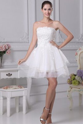 Abito dal Dolce Sedici in Tulle A-Line Corto Senza Maniche con Applique